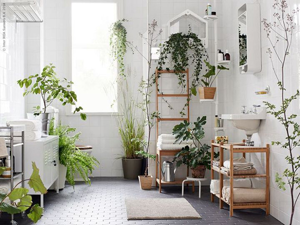 Nhà tắm như một khu rừng tự nhiên với thiết kế cây xanh treo tường